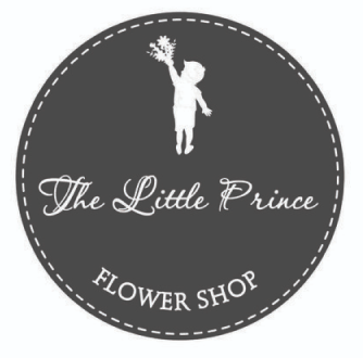 little prince - resize_Original file
